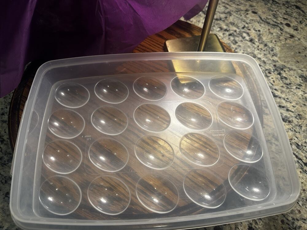 Rubbermaid Servin Saver 20 Deviled Egg Keeper Storage Container w/Lid